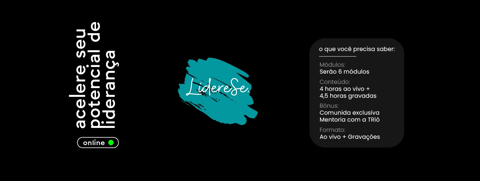 Head Banner LidereSe 003